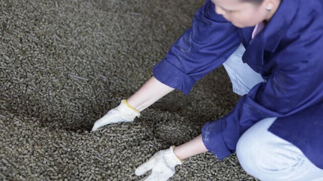 Close-up view of female hands in protective gloves holding granulated animal feed. High quality 4k footage