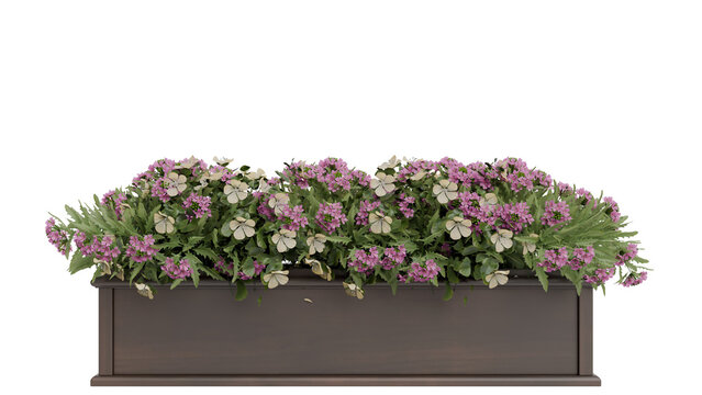 Box Planter with Purple and White Flowers