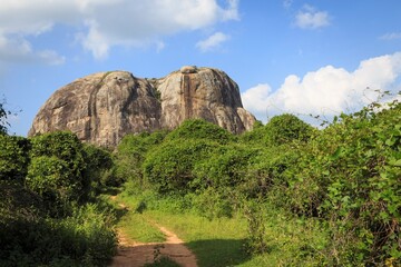 Monolithic Rock Formation in the Sri Lankan Wilderness