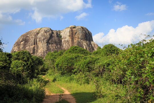 Monolithic Rock Formation in the Sri Lankan Wilderness