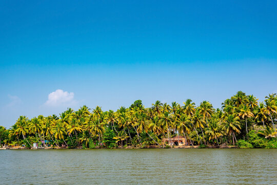 Kerala backwaters, India. Fishing boats on the canals