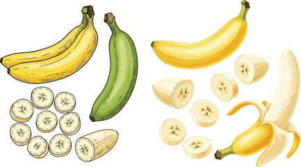 Banana varieties collection with ripe yellow and green plantain, peeled and sliced pieces illustration, tropical fruit set vector for healthy food and nutrition design © MdEmdadul