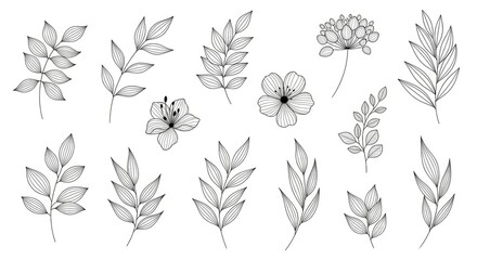 Obraz premium A collection of black and white line drawings depicts various leaves and flowers. The illustrations showcase a range of plant forms, including fern-like leaves and delicate floral arrangements.
