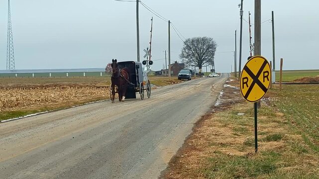A horse drawn carriage moves slowly across railroad tracks in a rural area. Cars pass by as the landscape features fields and a distant shoreline. The sky is cloudy. It is morning.