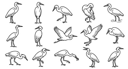 Obraz premium set of Heron illustration materials for general web use.