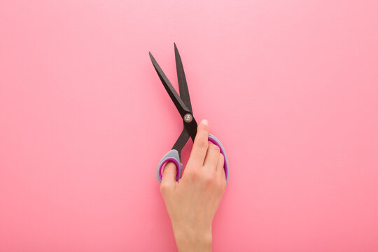 Young adult woman hand holding and showing new dark black dressmaker scissors for fabric cutting on light pink table background. Pastel color. Closeup. Top down view.