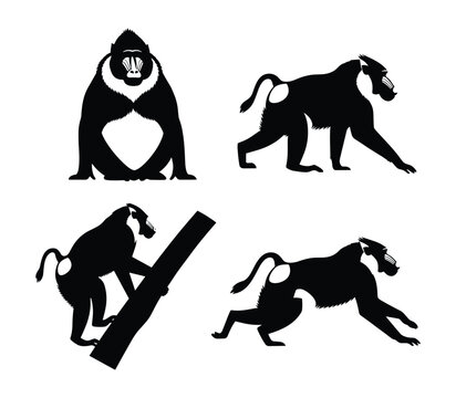 Baboon Silhouette Set Four Poses &mdash; Wild Primate Monkey Black Vector Illustration Isolated