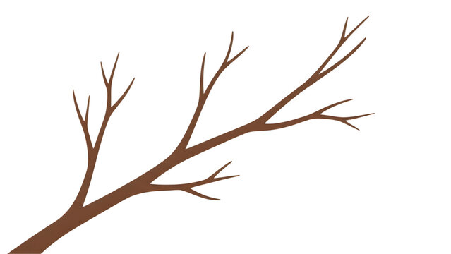 Brown tree branch with no leaves on white background