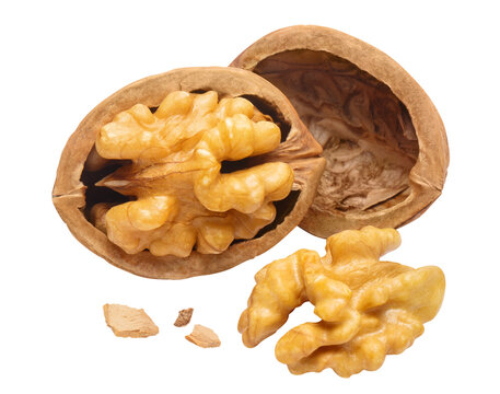 Cracked walnut halves with kernel and shell fragments close-up, isolated on cutout transparent background