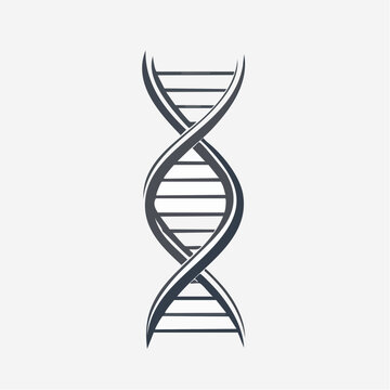 Black and white DNA helix illustration, science concept, clean modern line vector