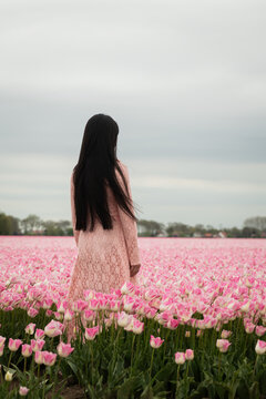 abstract rear portrait of woman in lace dress in endless soft pink field of tulips