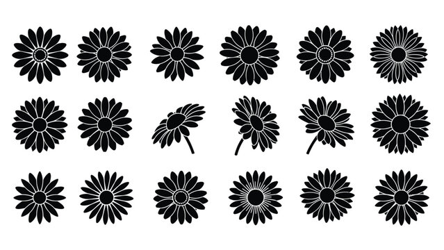 Set of black daisy silhouettes in various angles and styles.