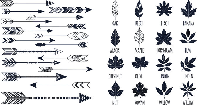 Set of decorative arrow elements and tree leaf silhouettes featuring oak, maple and birch icons in modern monochrome vector design collection