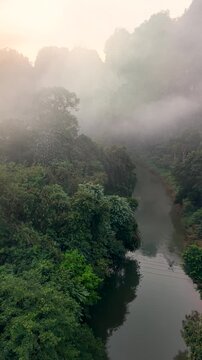 Explore the breathtaking landscapes of Khao Sok National Park. Misty mountains rise above tranquil waters, creating a magical atmosphere perfect for nature lovers and adventurers alike.