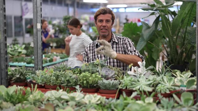Adult male seller holding pots with different succulents in plant store
