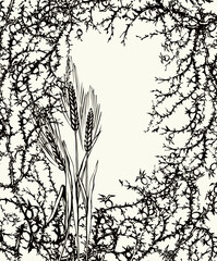 Fototapeta premium A Bible parable. The grain fell into the thorns. Vector drawing