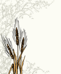 Fototapeta premium A Bible parable. The grain fell into the thorns. Vector drawing