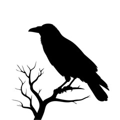 Fototapeta premium black silhouette of a crow perched on bare tree branch