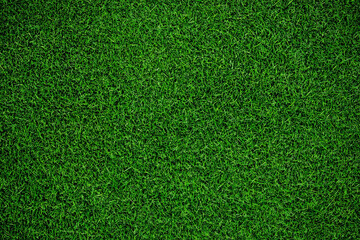 Realistic Green Grass Background with Natural Lawn Texture and Organic Meadow Pattern for Outdoor Nature Design © MohammadNahid011