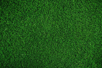 Realistic Green Grass Background with Natural Lawn Texture and Organic Meadow Pattern for Outdoor Nature Design © MohammadNahid011