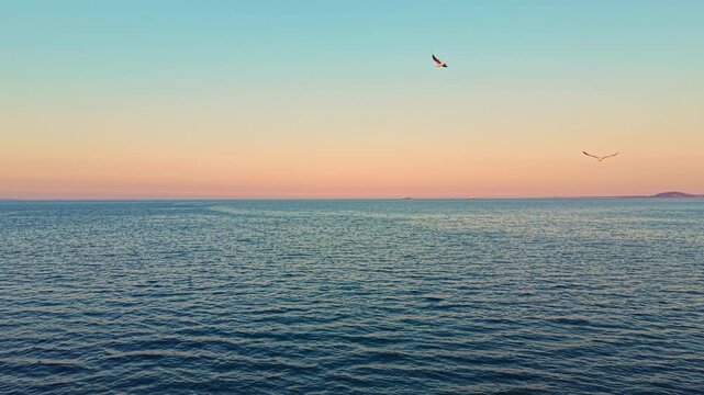 Two seagulls glide above the ocean water while the sun sets on the horizon, creating a colorful sky above a peaceful sea in the evening.