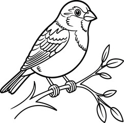 Obraz premium A simple black and white line drawing of a small sparrow