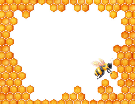 Honeycomb frame drawing. World Bee day conctpt.  Watercolor element hexagonal bee honeycombs border. Concept save the bees and ecology and ecosystem.
