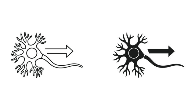 Neuron cells with dendrites and axon in black and white for biology or neuroscience concepts