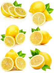 Fototapeta premium set of lemons isolated on the white background