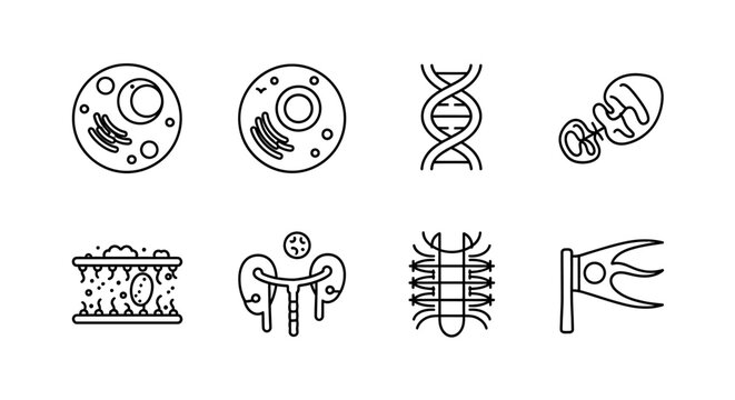 Detailed Illustrations of Various Biological Cells and Structures.