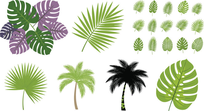 Tropical palm leaves and monstera foliage collection with palm tree silhouettes vector illustration exotic jungle botanical elements set