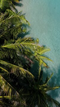 Bask in the beauty of Koh Kood, Thailand as vibrant palm trees sway gently above inviting turquoise waters. Experience a tranquil atmosphere perfect for relaxation and exploration.