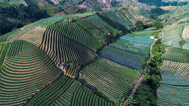 beautiful view majelngka west java
