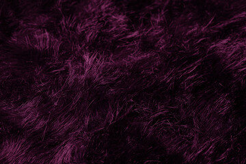 Obraz premium Close up view of dark purple shaggy faux fur textile fabric texture providing cozy abstract background