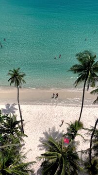 Explore the stunning coastline of Koh Kood Island in Thailand, featuring swaying palm trees and soft, white sand beaches. A couple of men and women on a tropical vacation