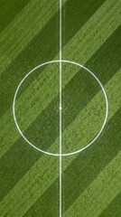 Obraz premium Soccer pitch center circle top down view