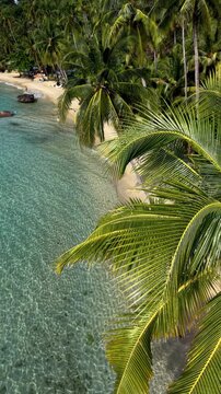 Koh Kood Island in Thailand features soft sandy beaches and vibrant turquoise waters. Palm trees sway gently in the breeze. Drone view of a couple of men and women on a tropical vacation 