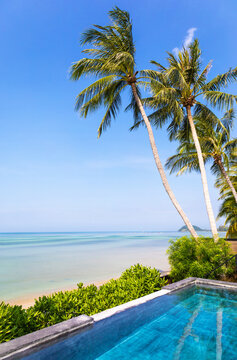 Swimming pool and palm trees, Nathon Beach, Island Ko Samui, Southeast Thailand.