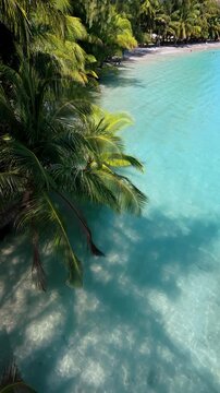 Crystal-clear waters gently lap against the shore, framed by swaying palm trees. Koh Kood offers a tranquil escape, perfect for relaxation and exploration in nature's embrace.