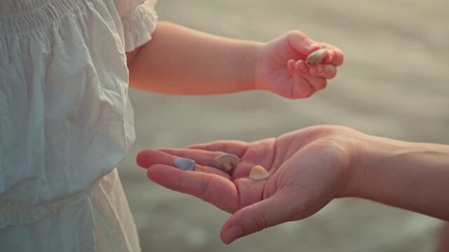 Close up of Asian toddler girl's hand giving seashells to parent on a beach at sunset. Cinematic golden hour shot of family bonding, sharing, and nature discovery during summer travel.