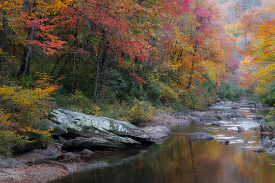 Autumn trees reflected in calm stream in North Georgia