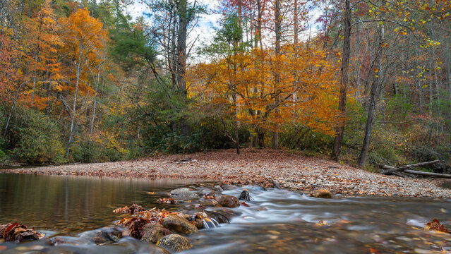 Trees with fall color reflected in stream tumbling over rocks