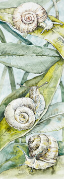 Vertical composition with three snails on leaves. Little snails shells on the grass. Watercolor hand drawn illustration. For bookmarks, posters, postcards prints patterns.