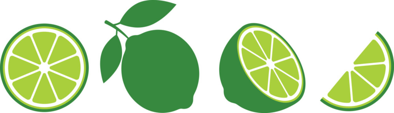 Vector lime slice green illustration lemon isolated half fruit lime. Fresh green cut citrus icon