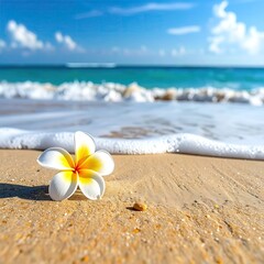 Fototapeta premium Flower on beach, ocean waves, blue sky