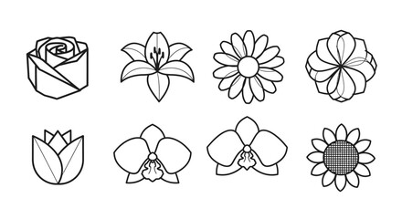 Fototapeta premium Floral outlines collection elegant vector illustrations of various bloom types