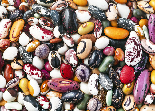 Vibrant heritage bean seed assortment. Rare combination of 5 types: bush, pole, lima, runner, and cowpea. Beautiful textures from purple to speckled. Great for gourmet cooking, food photography