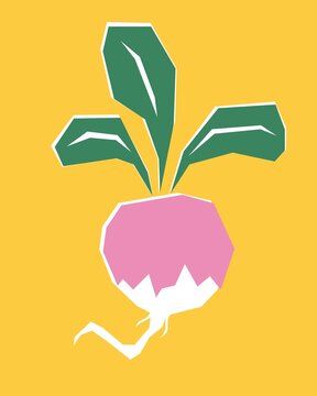 Cute Playful Radish Illustration in Simple Graphic Style