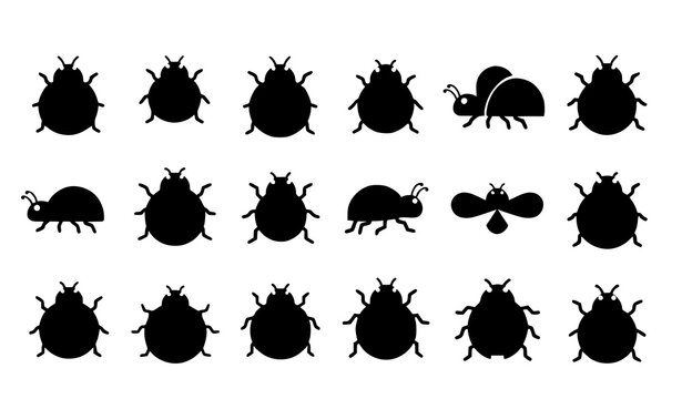Minimal ladybug icon set cute insect red black spots vector isolated on white background
