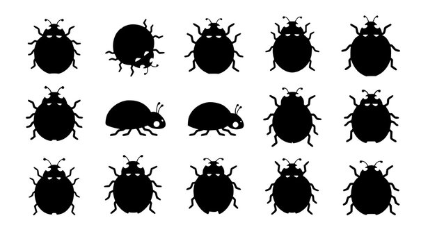 Ladybug collection cute insect red black spots vector illustration isolated on white